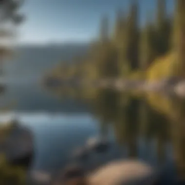 Stunning Panoramic View of Lake Tahoe Breathtaking view of Lake Tahoe surrounded by lush pine trees
