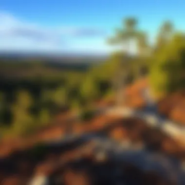 A panoramic view of diverse landscapes encountered on trails