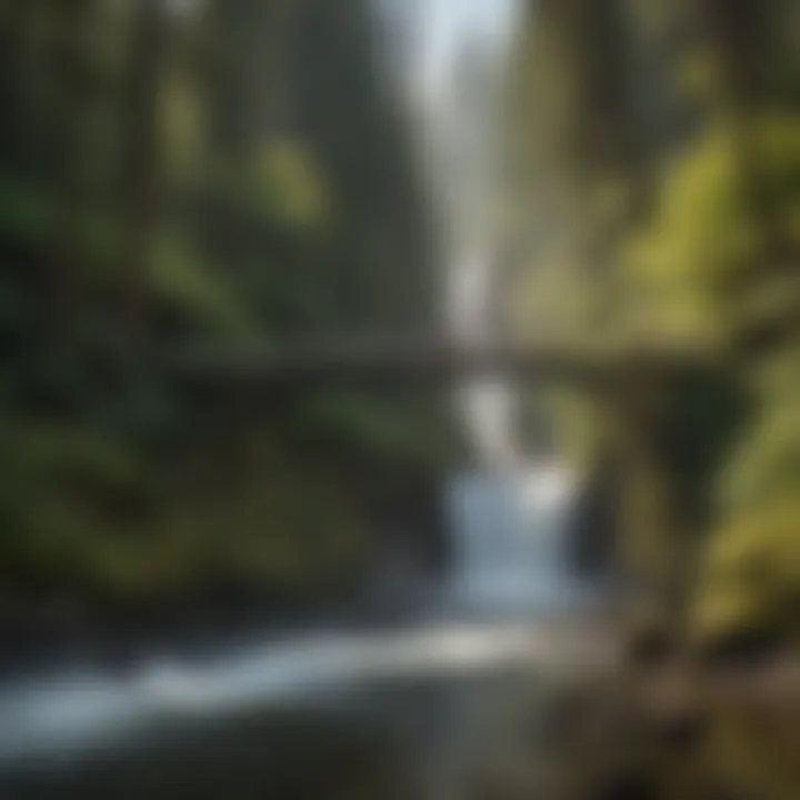 Tourists enjoying the scenic beauty of an Oregon waterfall bridge