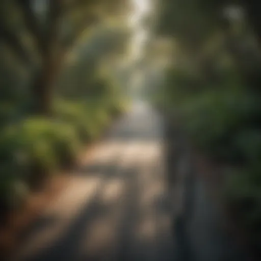 Scenic view of a paved bicycle trail surrounded by lush greenery