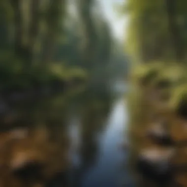 Tranquil River in Polebridge A tranquil river flowing through the lush landscapes of Polebridge.