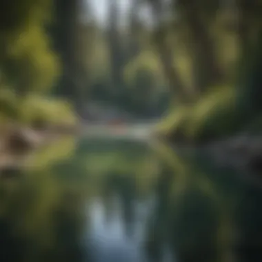 Kayakers enjoying the tranquility of a Boise river pool