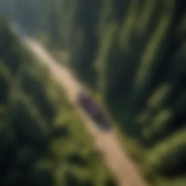 Aerial view of sustainable forestry practices supported by ATVs