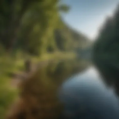 Angler casting a line into the river surrounded by lush greenery