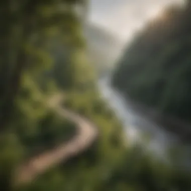 Winding River Overlook A serene overlook of a winding river surrounded by lush greenery