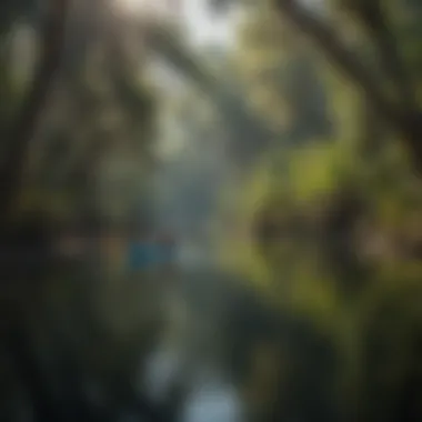 Visitors enjoying a kayaking experience on a tranquil river