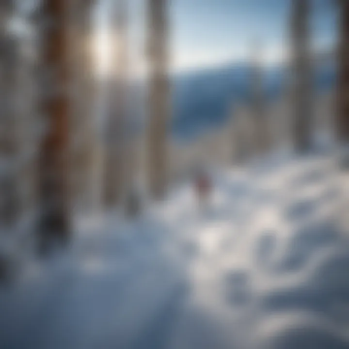 Skiers navigating through untouched backcountry routes in Missoula