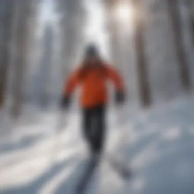 A tranquil forest scene, highlighting environmental aspects of skiing in Missoula