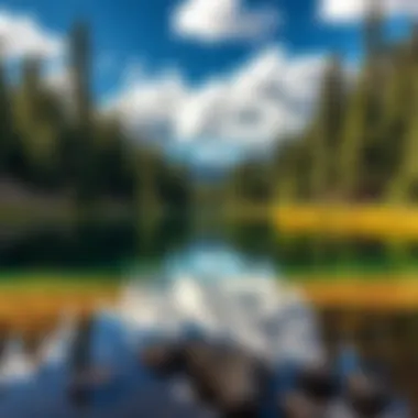 Serene Lake in Spruce Saddle A serene lake surrounded by towering evergreens, reflecting the sky.