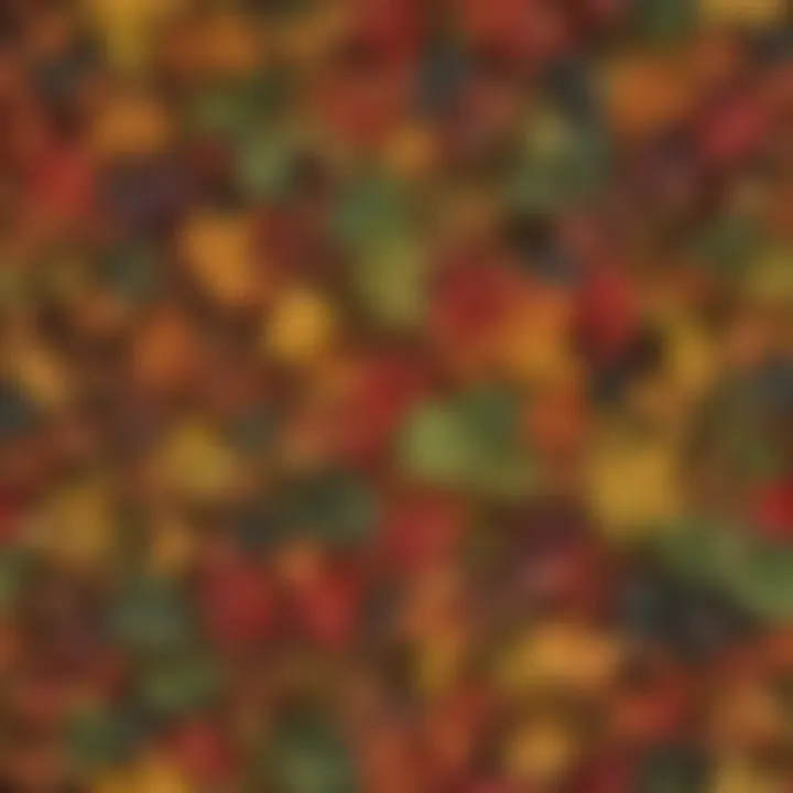 A collection of leaves from various species illustrating unique color variations.