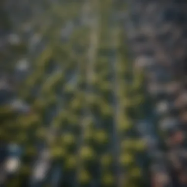 Aerial Perspective of Urban Greenery An aerial view of a city showcasing green spaces and tree canopies.