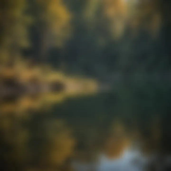 Angler casting a line into a crystal-clear lake