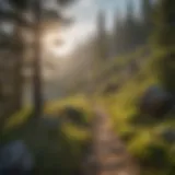 Scenic view of a mountain trail in the Black Hills