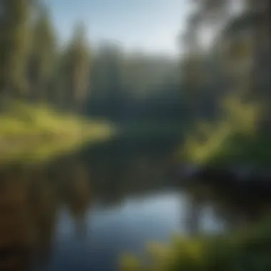 A serene lake surrounded by forest in the Black Hills