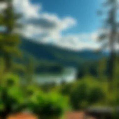 Tranquility in Nature: National Park's Breathtaking Views Serene landscape of a national park with lush greenery and a tranquil lake