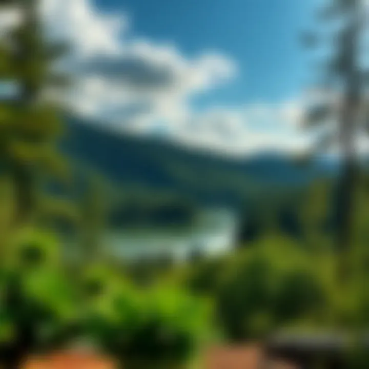 Tranquility in Nature: National Park's Breathtaking Views Serene landscape of a national park with lush greenery and a tranquil lake