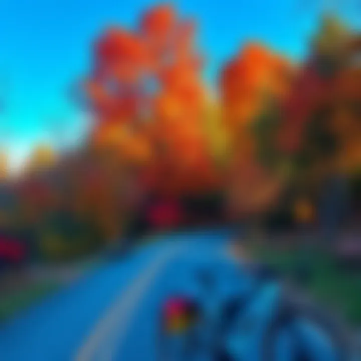 Autumn Splendor Vibrant autumn foliage along a bike route