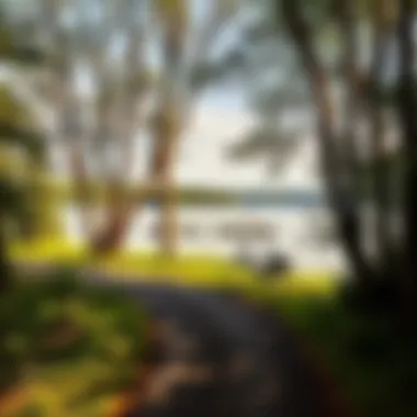 Lakeside Serenity Serene lakeside biking path