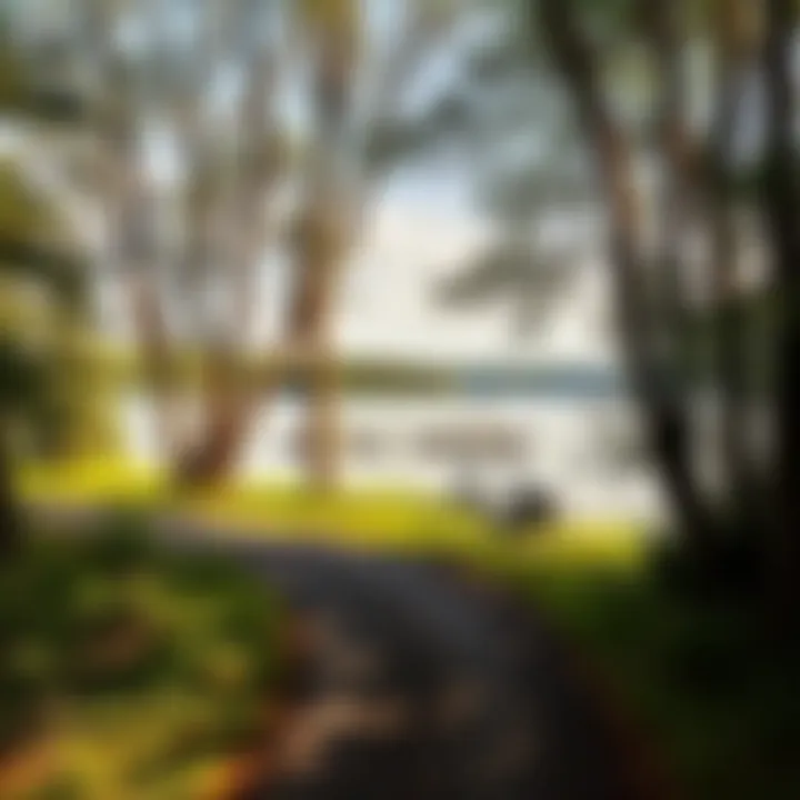 Lakeside Serenity Serene lakeside biking path