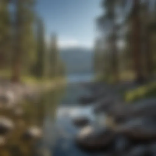 A panoramic view of Lake Tahoe framed by lush forests and mountains