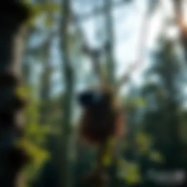 An illustration of various nest monitoring technologies