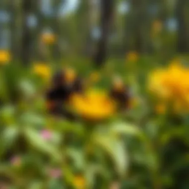 Pollination in Forest by Burrowing Bumble Bees Burrowing bumble bees pollinating flowers in a vibrant forest setting