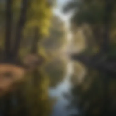 Community Conservation Initiatives for the San Joaquin River Community initiatives focused on the conservation of the San Joaquin River.