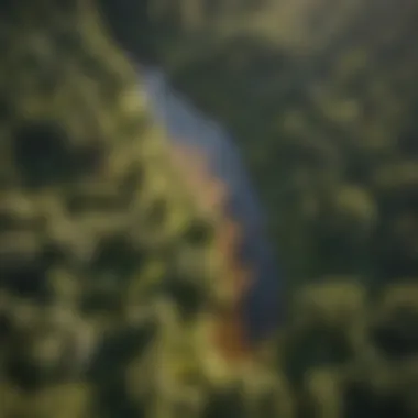 An aerial view of Clear Creek surrounded by vibrant forest ecosystems