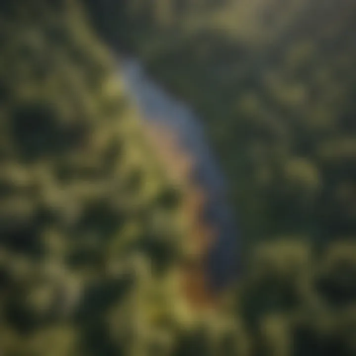 An aerial view of Clear Creek surrounded by vibrant forest ecosystems
