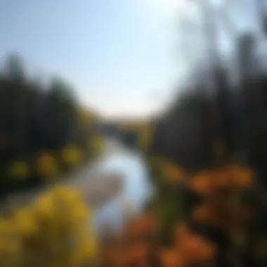 Scenic view of a river along a nature trail in Ohio