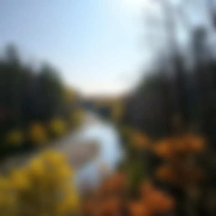 Scenic view of a river along a nature trail in Ohio
