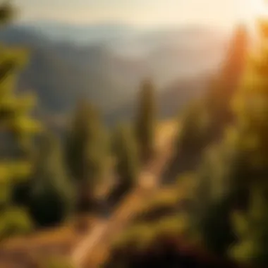 Scenic view of a mountain trail winding through evergreen trees
