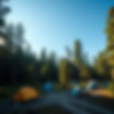 Diverse types of forestry campgrounds amidst towering trees