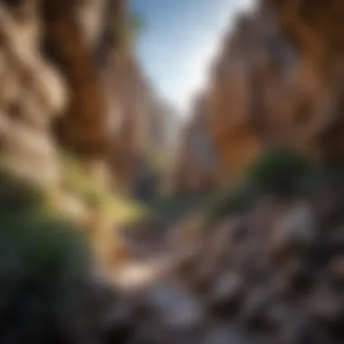 Geological Formations in Ventana Canyon The geological formations of Ventana Canyon, illustrating its unique landscape and rock structures.