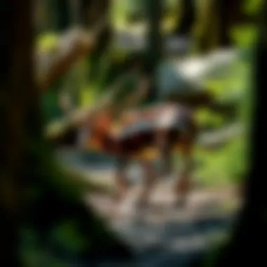 Wildlife native to the region, thriving in their natural habitat