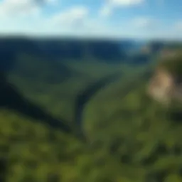 A panoramic view of Wheeler Gorge showcasing its lush greenery and scenic landscapes