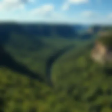 A panoramic view of Wheeler Gorge showcasing its lush greenery and scenic landscapes