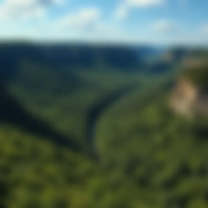 A panoramic view of Wheeler Gorge showcasing its lush greenery and scenic landscapes
