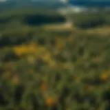 Diverse Windbreaks Enhancing Forestry Aerial view of diverse windbreaks in a forested landscape