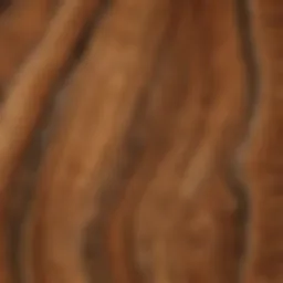 A cross-section of various wood species showcasing unique grain patterns