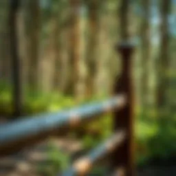 Elegant wooden guardrail post in a serene woodland setting