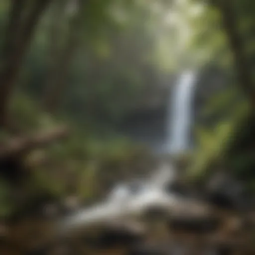 Tranquil view of Falls Creek Falls amidst lush greenery