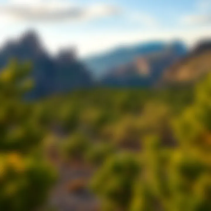 Scenic landscape of Guadalupe Mountains National Park featuring towering peaks and lush greenery