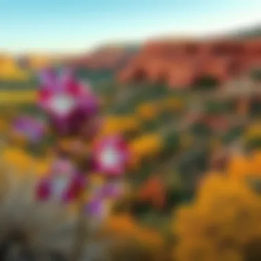 Vibrant flora and fauna of Palo Duro Canyon State Park depicting its ecological diversity