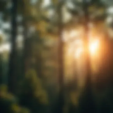 Enhancing Financial Visibility in Manufacturing Conceptual image illustrating financial visibility in manufacturing