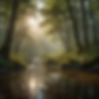 Successful Conservation Initiatives for Freshwater Ecosystems A visual representation of successful conservation efforts in freshwater ecosystems.