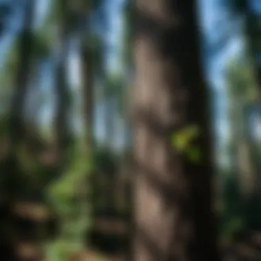 Ecological Implications of Garlon 4 Use Ecological considerations in using herbicides