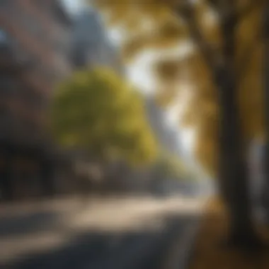 Urban Resilience: Ginkgo Trees in Cityscapes Ginkgo tree in an urban setting, highlighting its resilience