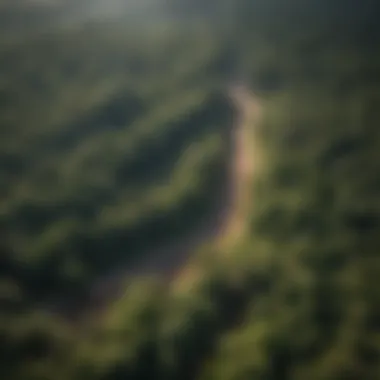 Aerial view of Hampton Forest illustrating its vast expanse