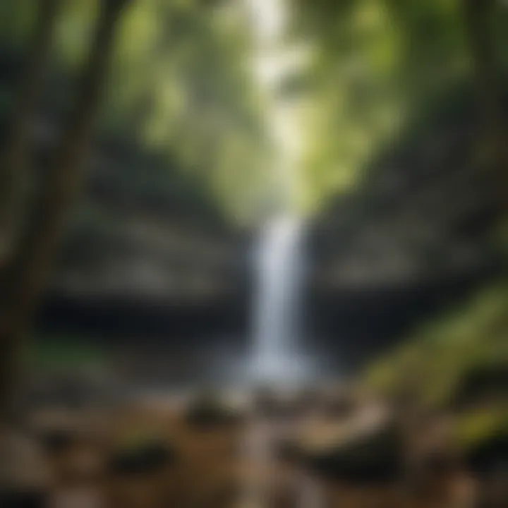 A cascading waterfall nestled within a dense forest.